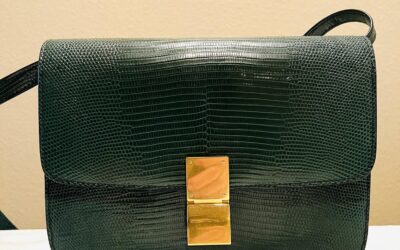 Celine Box (Medium) in Dark Green Lizard with Auth Comparison